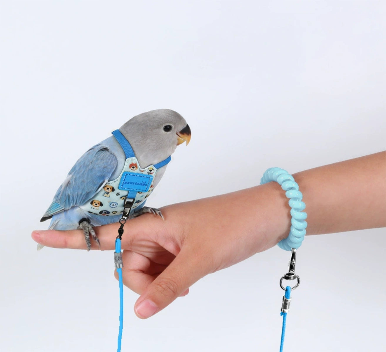 Parrot Outdoor Flight Set – Flight Suit + Lead