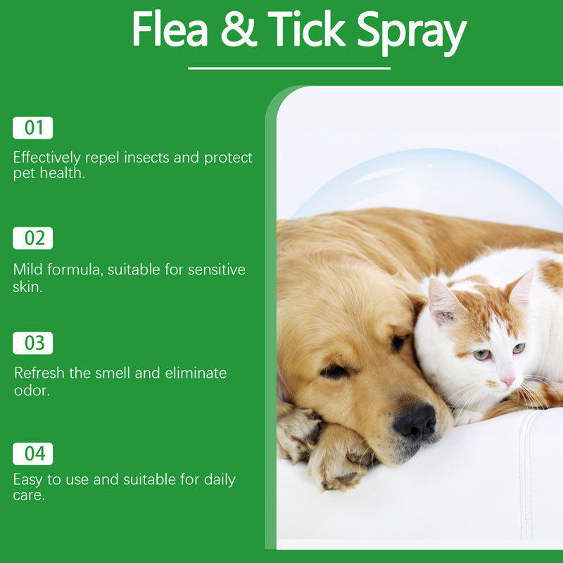 🐶🐱 Natural Flea and Tick Spray – Safely and Effectively Protect Your Pets 🌿