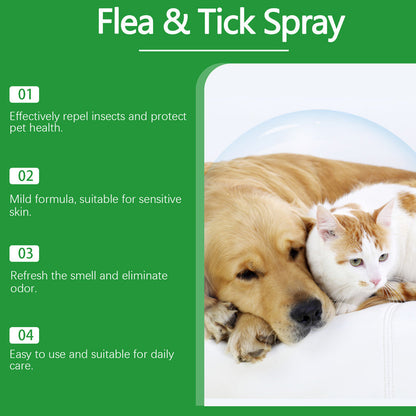 🐶🐱 Natural Flea and Tick Spray – Safely and Effectively Protect Your Pets 🌿