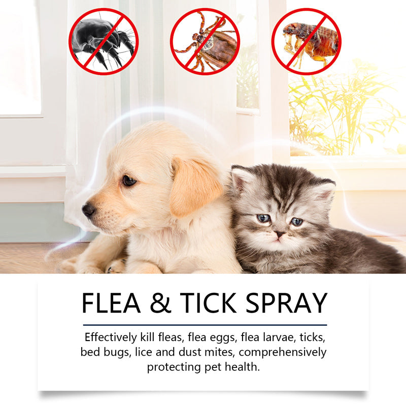 🐶🐱 Natural Flea and Tick Spray – Safely and Effectively Protect Your Pets 🌿